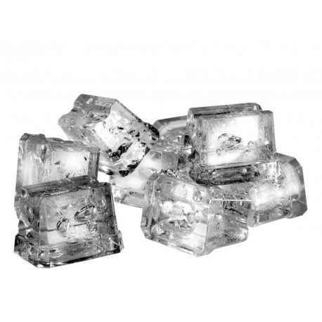Machine à glaçons plein 22kg/jour ICE TECH - v3