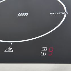 Hornillo de inducción sobre caja 2 zonas - v2