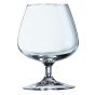 Copa de coñac 25 cl Degustation (12 u.)