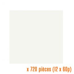 Servilletas blancas 40 x 40 cm guata de celulosa 55 g/m≤ (12 x 60 u.)